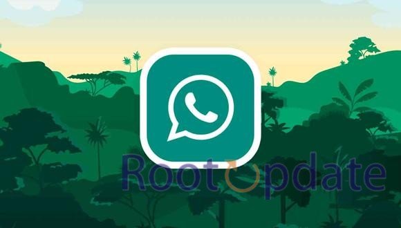 Can You Upload Whatsapp DP Without Losing Quality