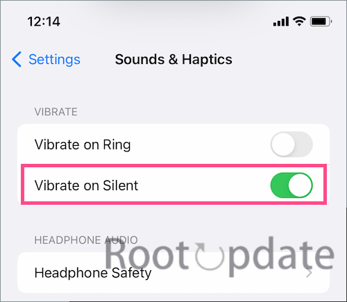 Review System Vibration Settings