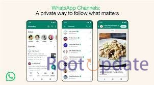 WhatsApp Channel Statistics